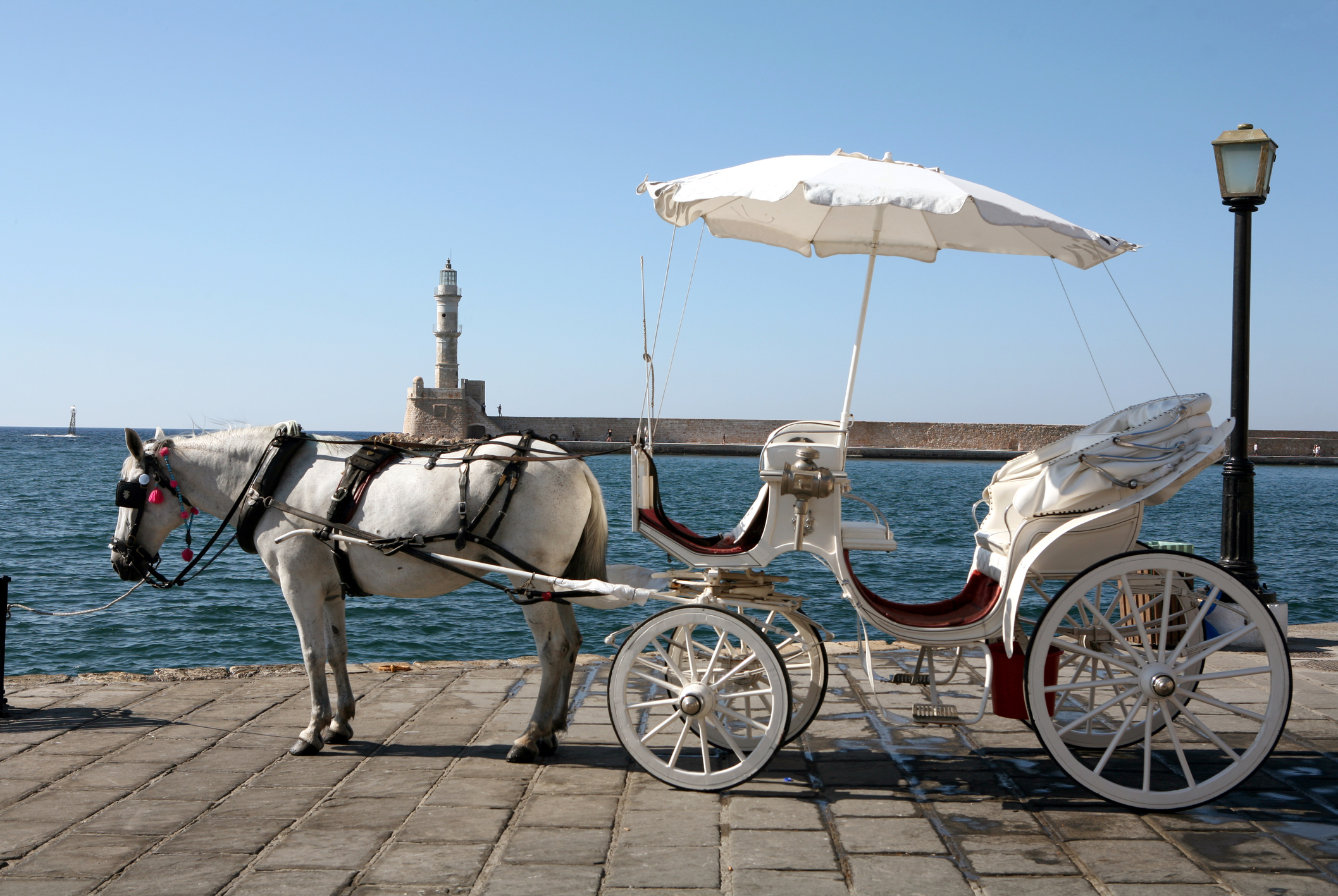 horse-drawn taxi-chania_3128151