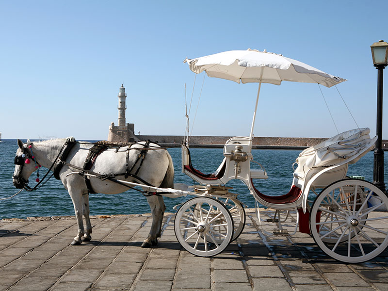 edit_horse-drawn-taxi-chania_3128151